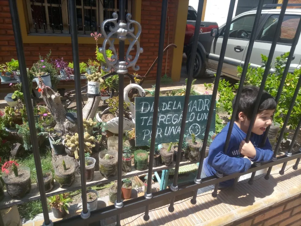 Benjamín, regala plantas a cambio de sonrisas