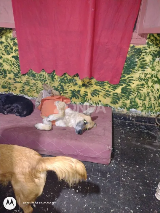 Sala de Emergencias SJ (2).jpg