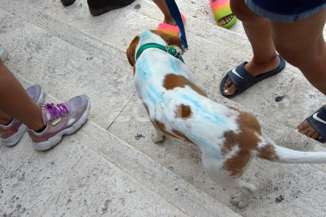 caravana sanjuanina por el mundial (1).jpg