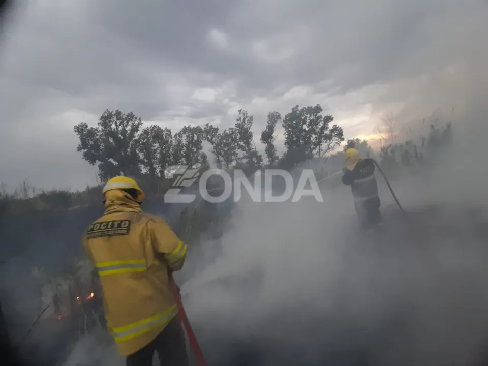 Bomberos Voluntarios de Pocito Trabajan en el incendio en el cementerio