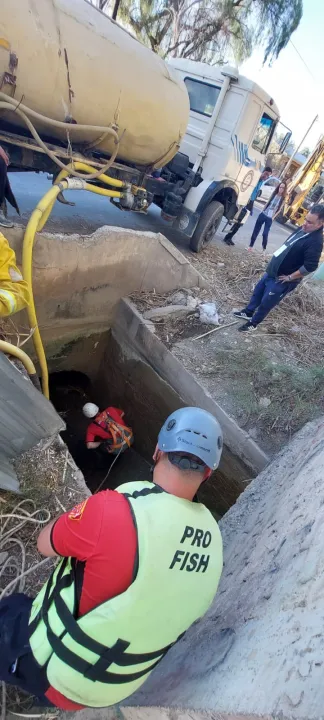 WhatsApp Image 2023-11-05 at 7.49.06 AM (2).jpeg