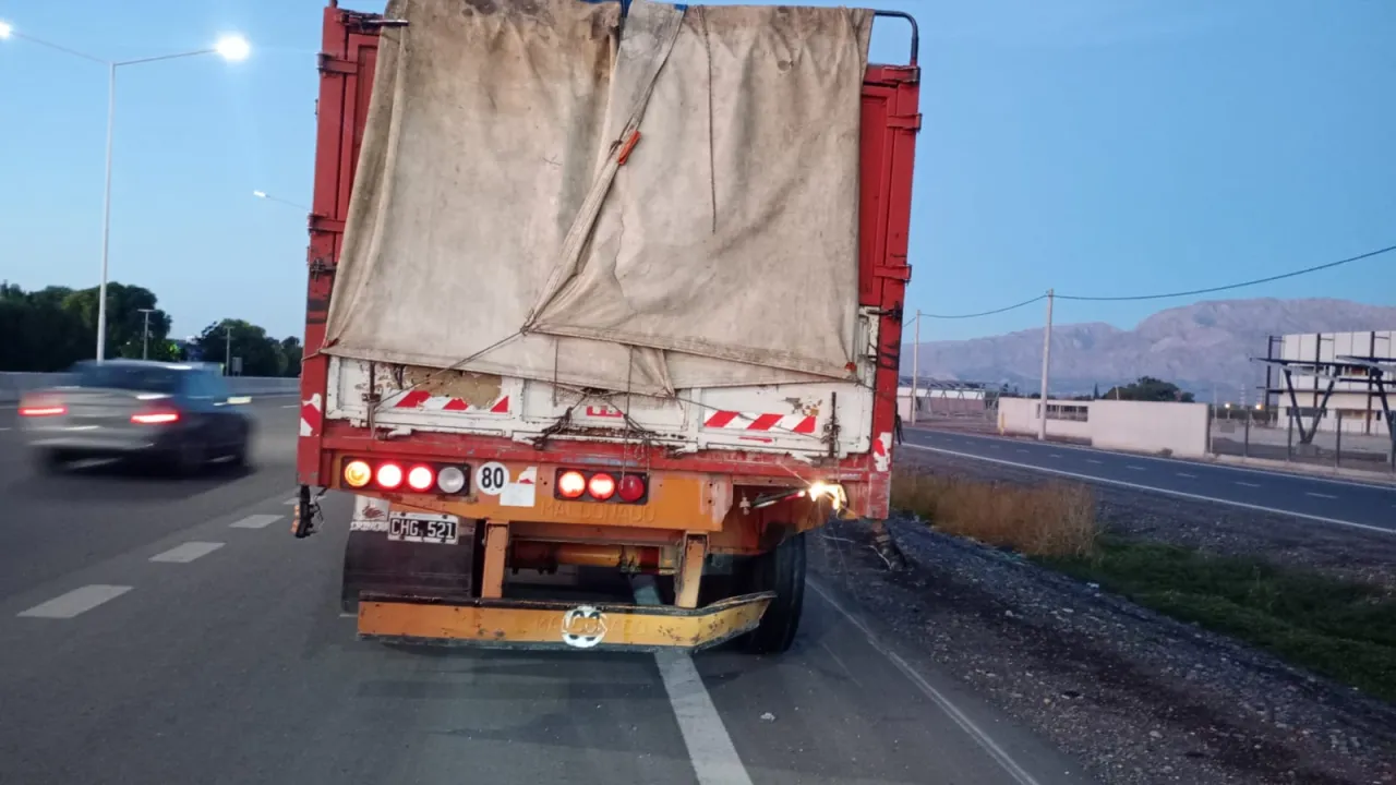 WhatsApp Image 2024-04-25 at 8.02.09 PM.jpeg