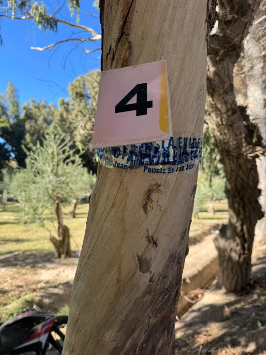 WhatsApp Image 2024-05-04 at 12.51.47 PM (1).jpeg