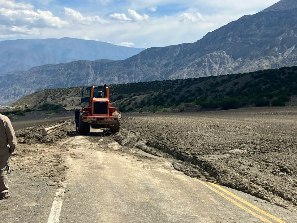 51b15c99-ae24-4979-b234-4014e4ceb774.jfif