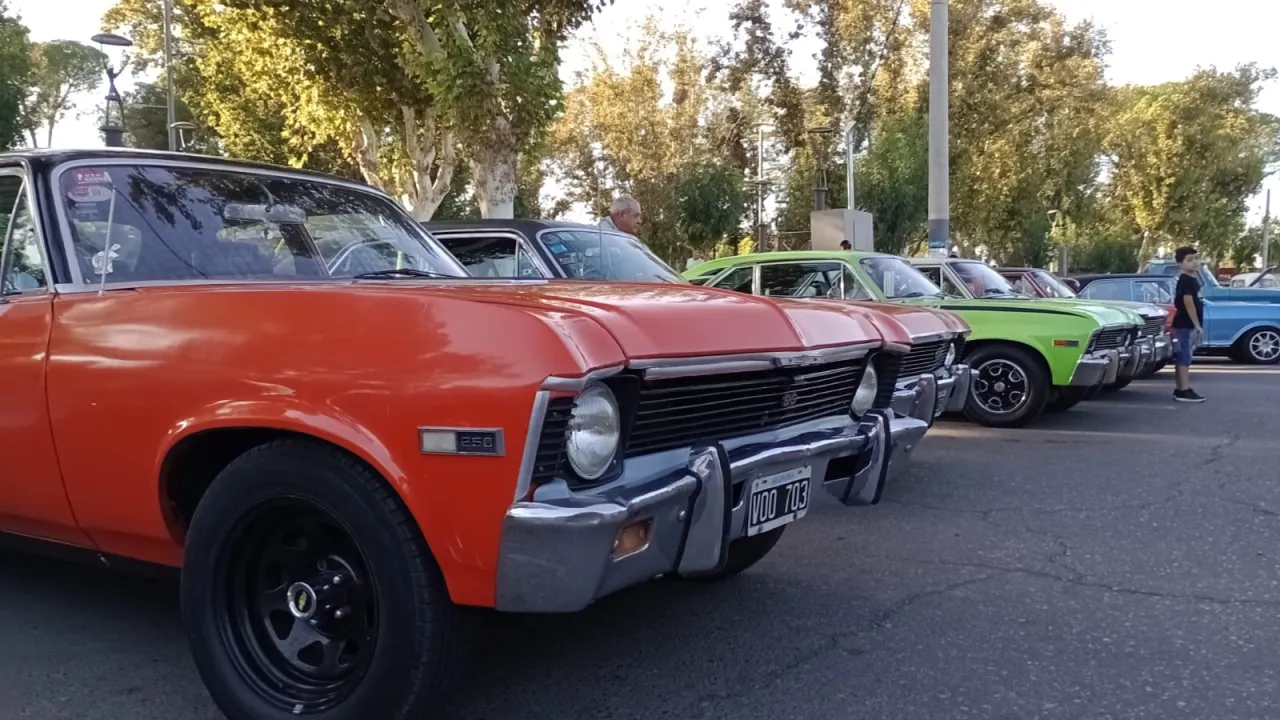 WhatsApp Image 2025-03-11 at 4.36.48 PM (1).jpeg