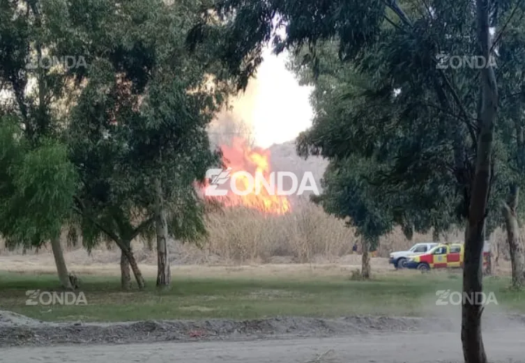 Incendio de un cañaveral frente al Jardín de los Poetas. 