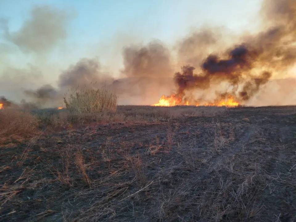 Bomberos Voluntarios de Pocito (7).jpg