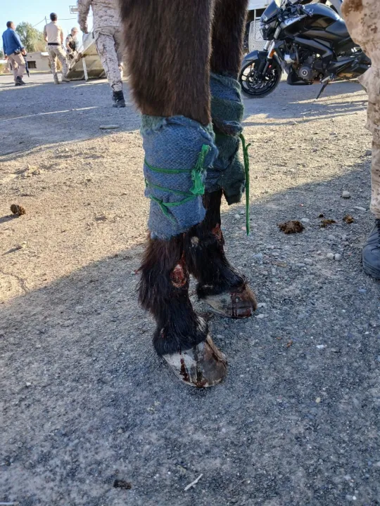 f8edaa2d-19ba-419c-8e92-a2f7c9580c1c.jfif