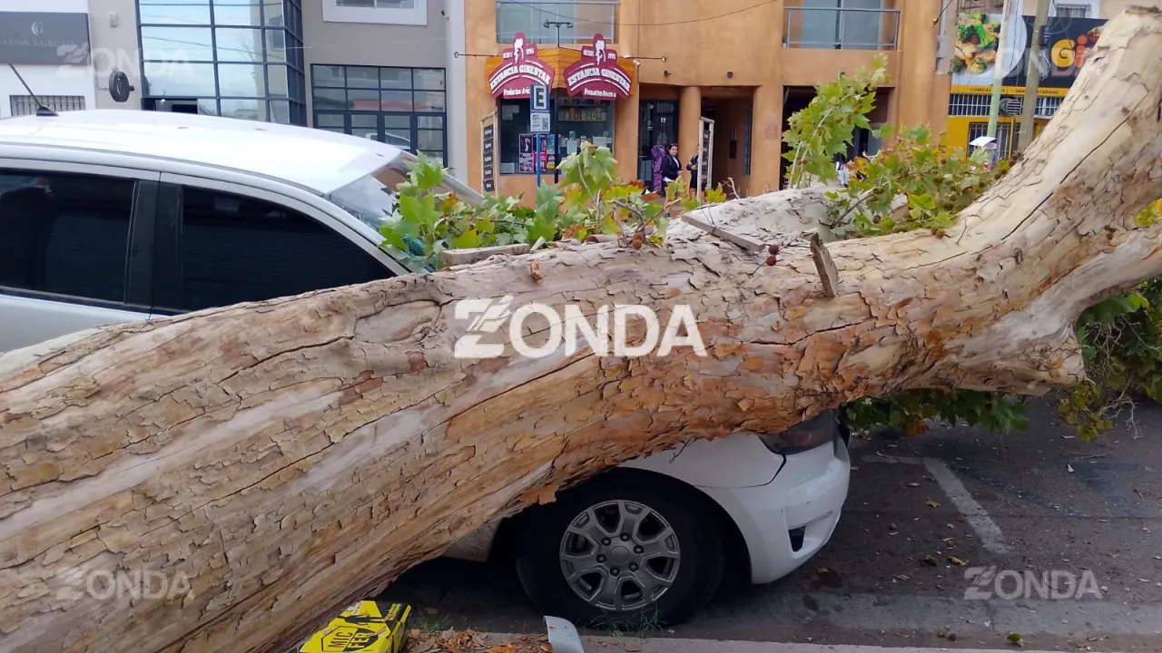 WhatsApp Image 2026-03-20 at 18.13.51.jpeg