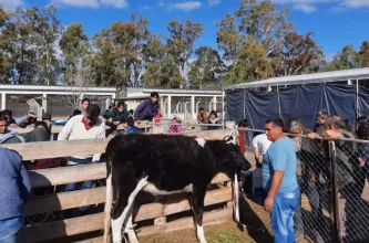 Educación habilita cursado compartido de una tecnicatura agroindustrial entre Ullum y Zonda