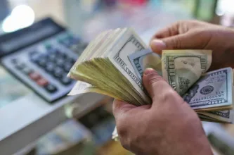 Se cumplió un año sin cepo para personas y la compra de dólares siguió en alza