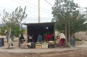 Un joven quedó detenido tras un intento de robo en una verdulería