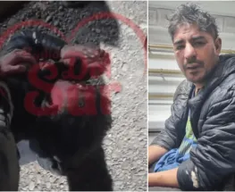 Difunden el video de la agresión al sospechoso de un robo en un kiosco de Rawson