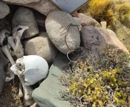 Detectan restos humanos y vainas servidas durante un patrullaje en Iglesia