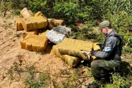 La UNODC advierte sobre la expansión del narcotráfico impulsada por tecnología y nuevas sustancias