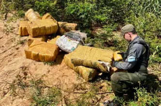 La UNODC advierte sobre la expansión del narcotráfico impulsada por tecnología y nuevas sustancias