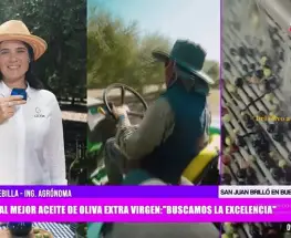 Un aceite de oliva virgen extra de San Juan ganó el máximo premio en Caminos y Sabores
