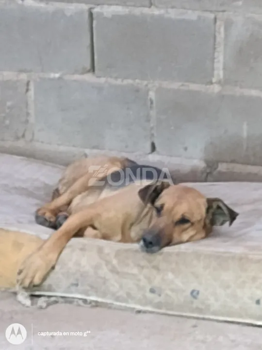 Sala de Emergencias SJ (3).jpg