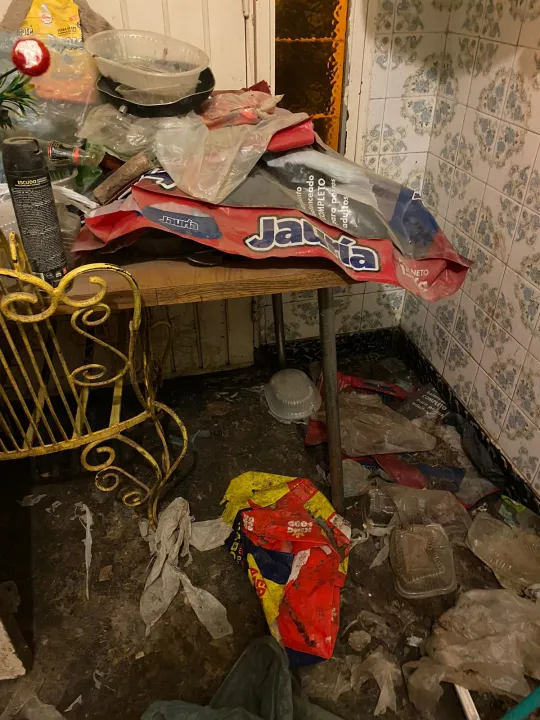 rescate perros gatos animales santa lucia