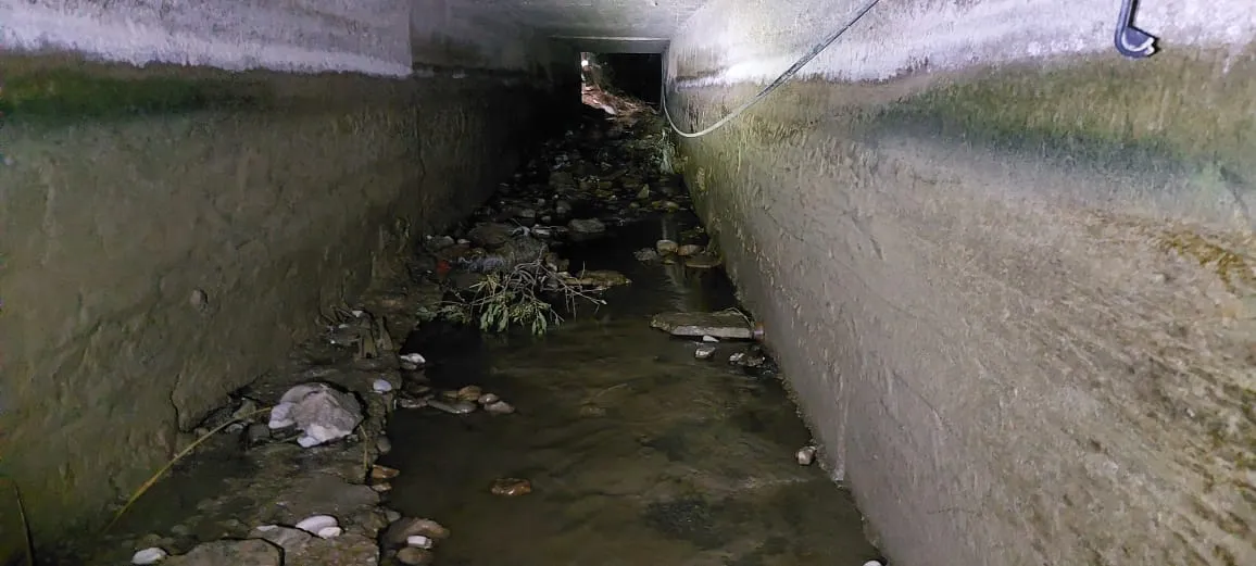 WhatsApp Image 2023-11-05 at 7.49.07 AM.jpeg