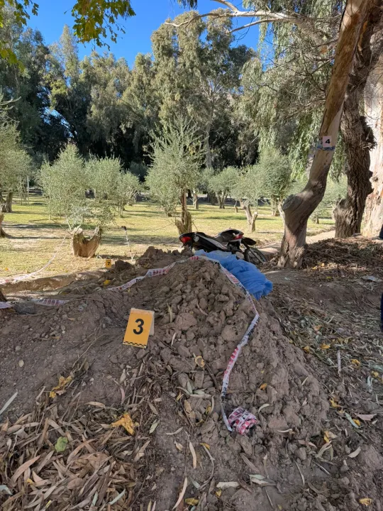 WhatsApp Image 2024-05-04 at 12.51.47 PM.jpeg