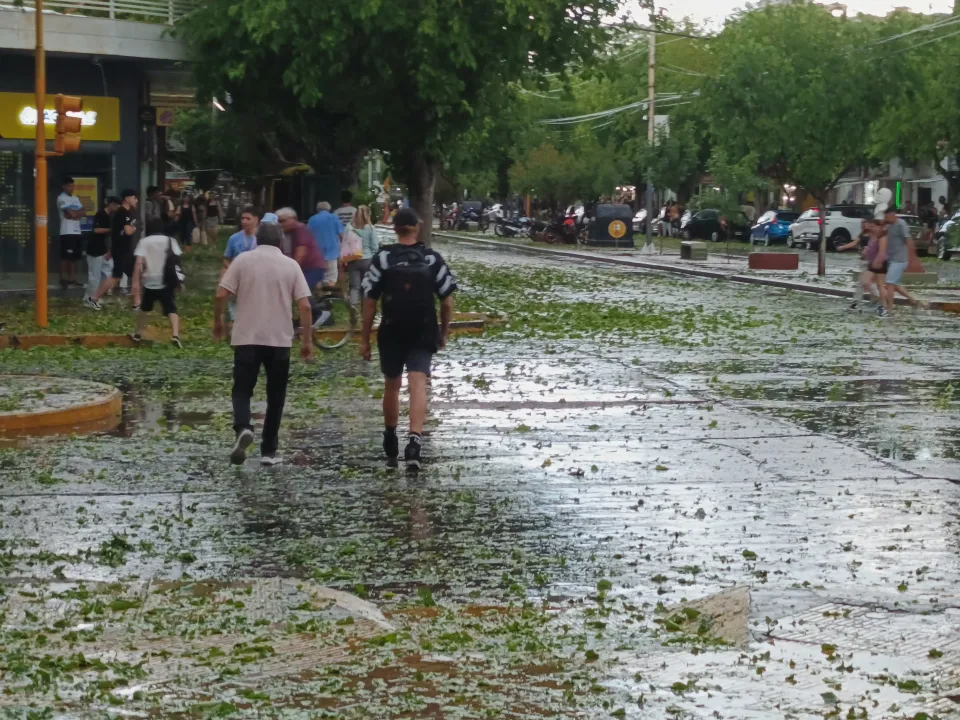 granizo capital (1).jpeg