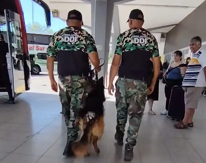 Captura de pantalla 2025-01-13 175555.png