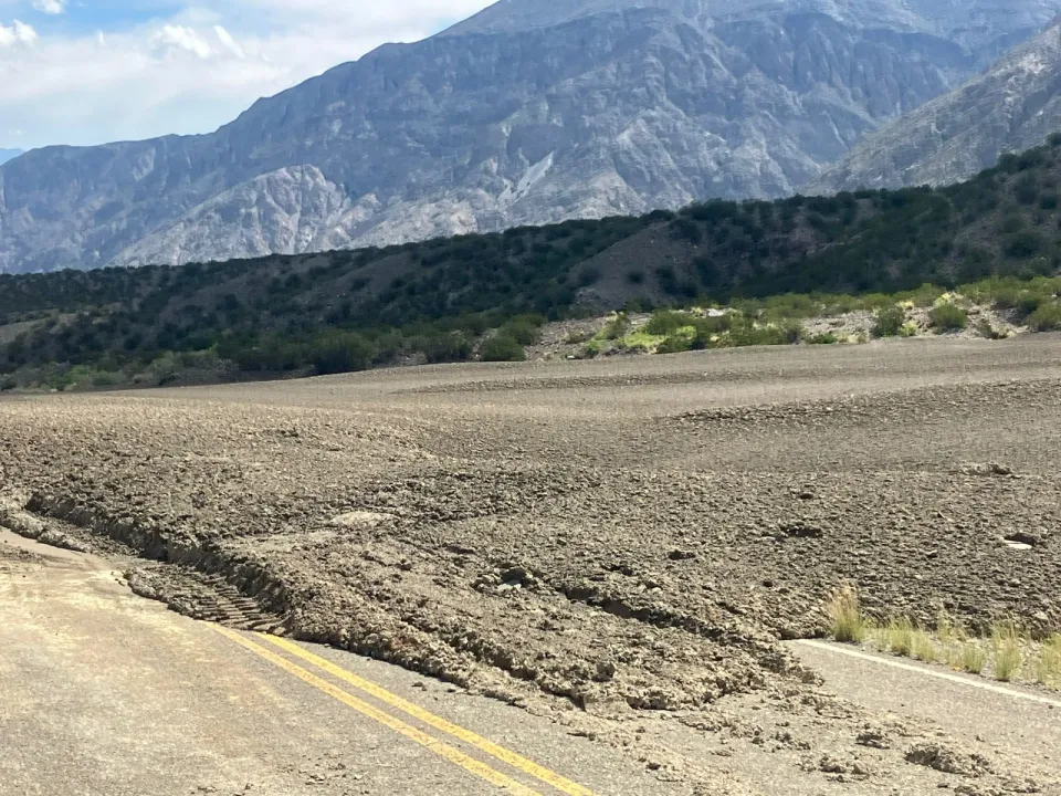 30e5ebcc-c740-467f-ad9a-9225ffa8ff47.jfif