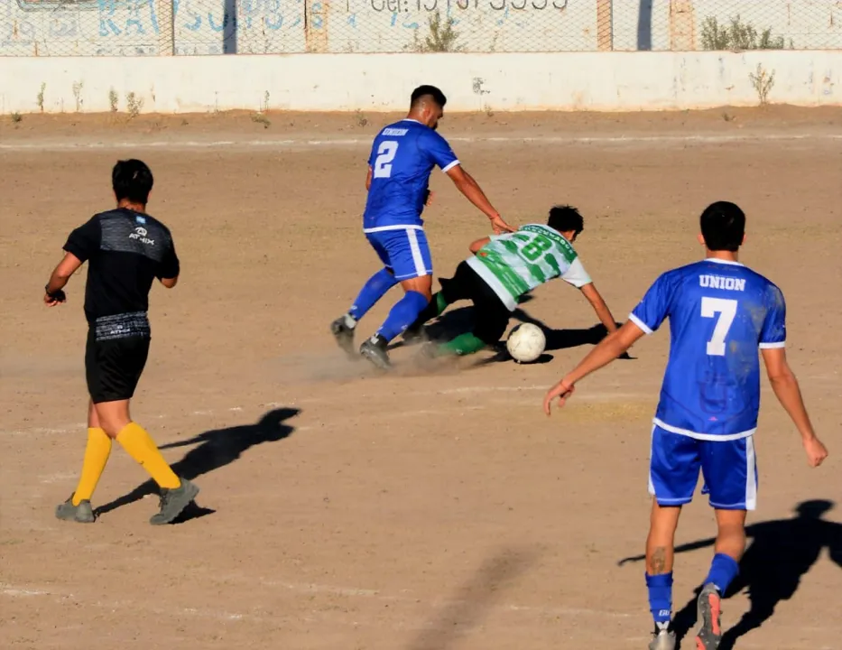 Arbol Verde Union de Villa Krause (10).jpeg