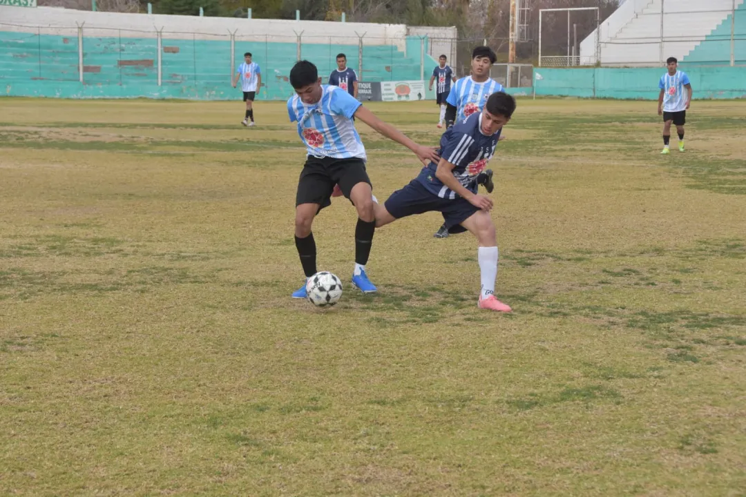 WhatsApp Image 2025-06-25 at 4.05.15 PM.jpeg