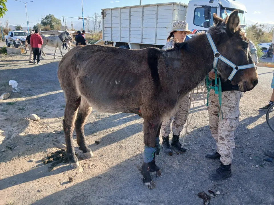 da66afb3-8b03-414d-850f-554df5628ab1.jfif