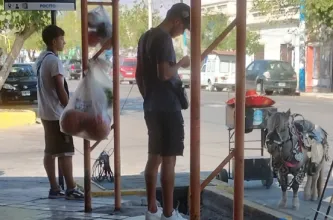 Piden revisar el estado de un poni usado para fotos y paseos infantiles en Pocito