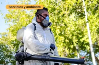 La Municipalidad de San Juan difundió el cronograma de fumigación y control de plagas para abril