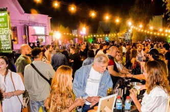 San Juan celebró el Malbec con una jornada de degustaciones y producción local