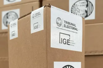 Qué son las PASO y qué cambiaría si se eliminan