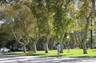 San Juan tendrá un sábado templado, con nubosidad variable y viento del sur