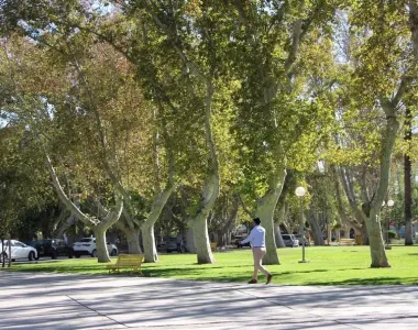 San Juan tendrá un sábado templado, con nubosidad variable y viento del sur