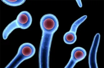 Detectan tétanos en una menor de 5 años en Santa Fe