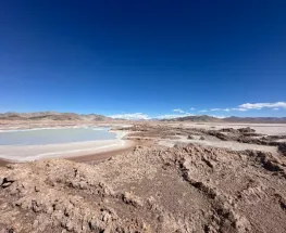 Aprobación de un nuevo RIGI impulsa un proyecto de litio en Catamarca