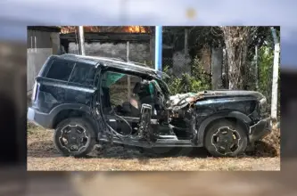 El Zonda derribó un árbol sobre una camioneta y provocó la muerte de un matrimonio que iba a buscar a su hija