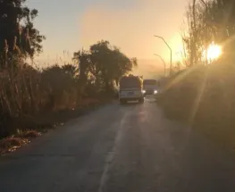 Albardón: analizan si un incendio de cañaverales fue provocado y piden extremar cuidados