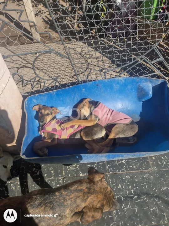 Sala de Emergencias SJ (4).jpg