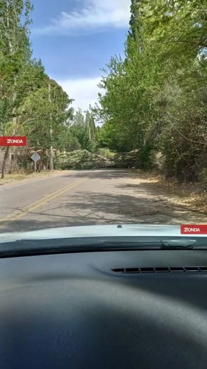 viento zonda en barreal