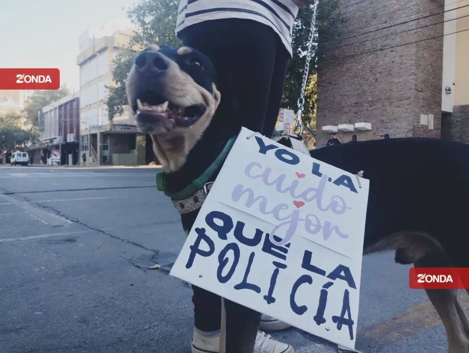 Día de la Mujer en San Juan