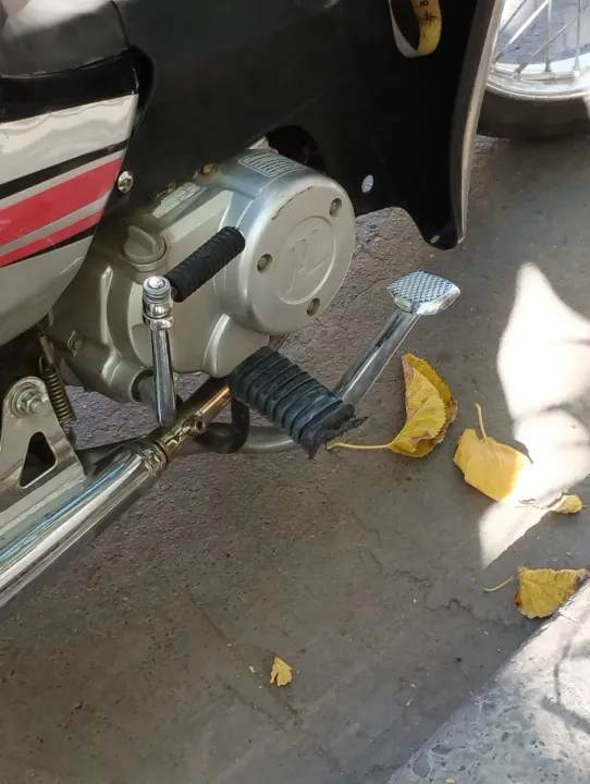 WhatsApp Image 2024-04-27 at 11.54.17 AM.jpeg