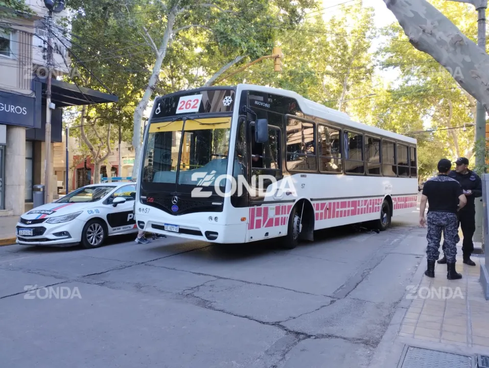 61fae9d8-1965-41fa-b044-ec9a60d11dfd (1).jpeg