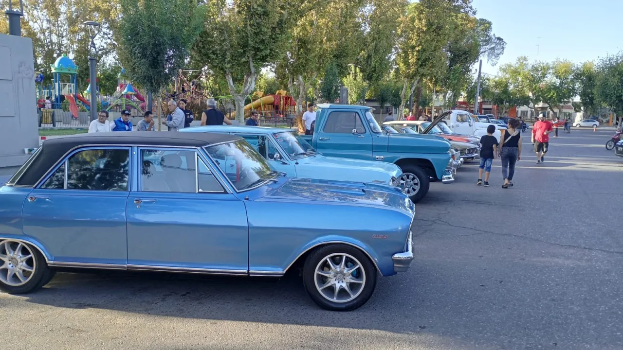 WhatsApp Image 2025-03-11 at 4.36.47 PM (1).jpeg