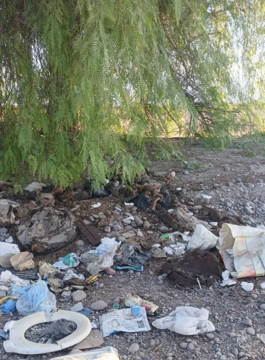 487924009_1894716884599709_3238167661646520598_n - copia.jpg