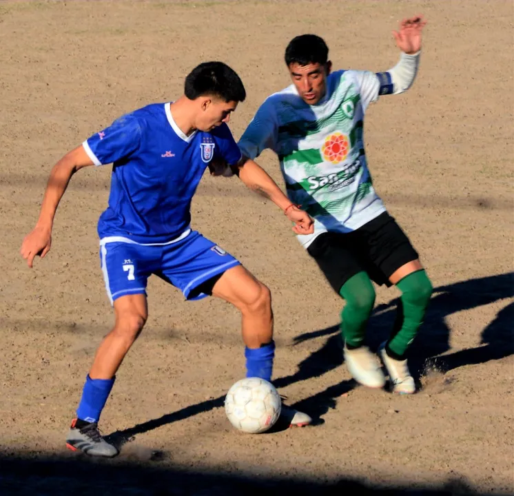 Arbol Verde Union de Villa Krause (1).jpeg