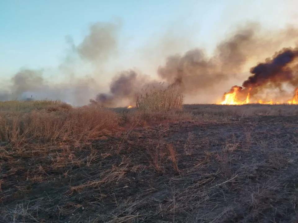 Bomberos Voluntarios de Pocito (9).jpg